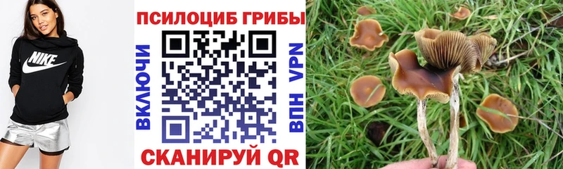 mega ONION  Нерчинск  Галлюциногенные грибы Cubensis 